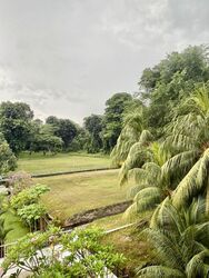 Upper East Coast Road (D16), Terrace #503431941